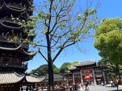-龙华寺