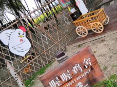 -田园东方蜜桃村的田野营地