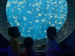 -成都浩海立方海洋公园