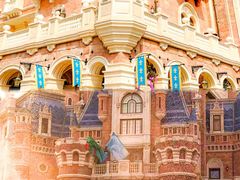 -上海迪士尼度假区