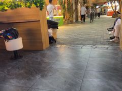 -大连圣亚海洋世界