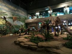 -自贡恐龙博物馆