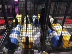 -嗨翻Hi-Fun竞技主题乐园·蹦床亲子生日轰趴(国光1937店)