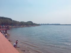 -丁香湖公园
