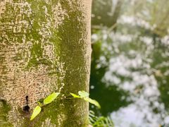 -成都杜甫草堂博物馆