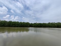 -东寨港红树林旅游区