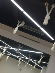 -LU YOGA（露瑜伽）专业瑜伽馆