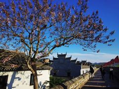 -台州府城(江南长城)