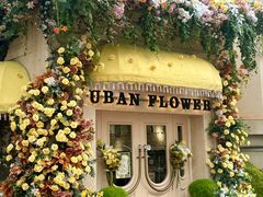 -常熟路(地铁站)