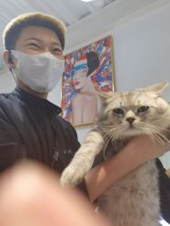 -飞梵造型