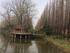 iphone_upload_pic-上海怡沁园度假酒店