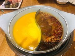 -青瓷火锅料理(西单大悦城店)
