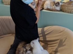 -怪兽屋·羊驼·猫咖·狗咖(俊华广场店)