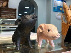 -WHEN PIGS FLY当猪飞