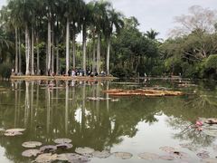 -中国科学院西双版纳热带植物园