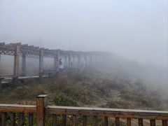 -白草畔自然风景区