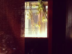 松阪牛烧肉-松阪牛焼肉M(法善寺横丁店)