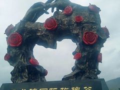 -亚龙湾国际玫瑰谷