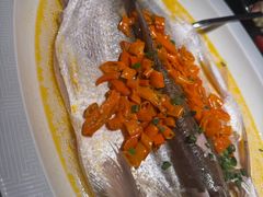 -海宁铂尔曼酒店紫荆中餐厅
