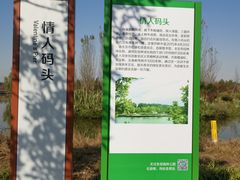 -东郊湿地公园