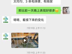 -雨林宠物医院 非犬猫异宠专科