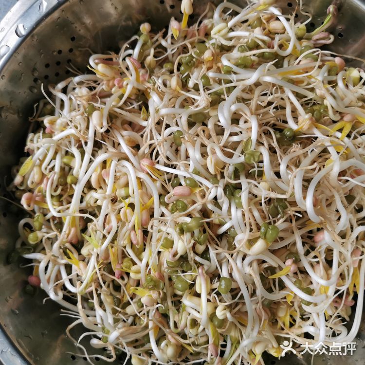 来个豆芽吧