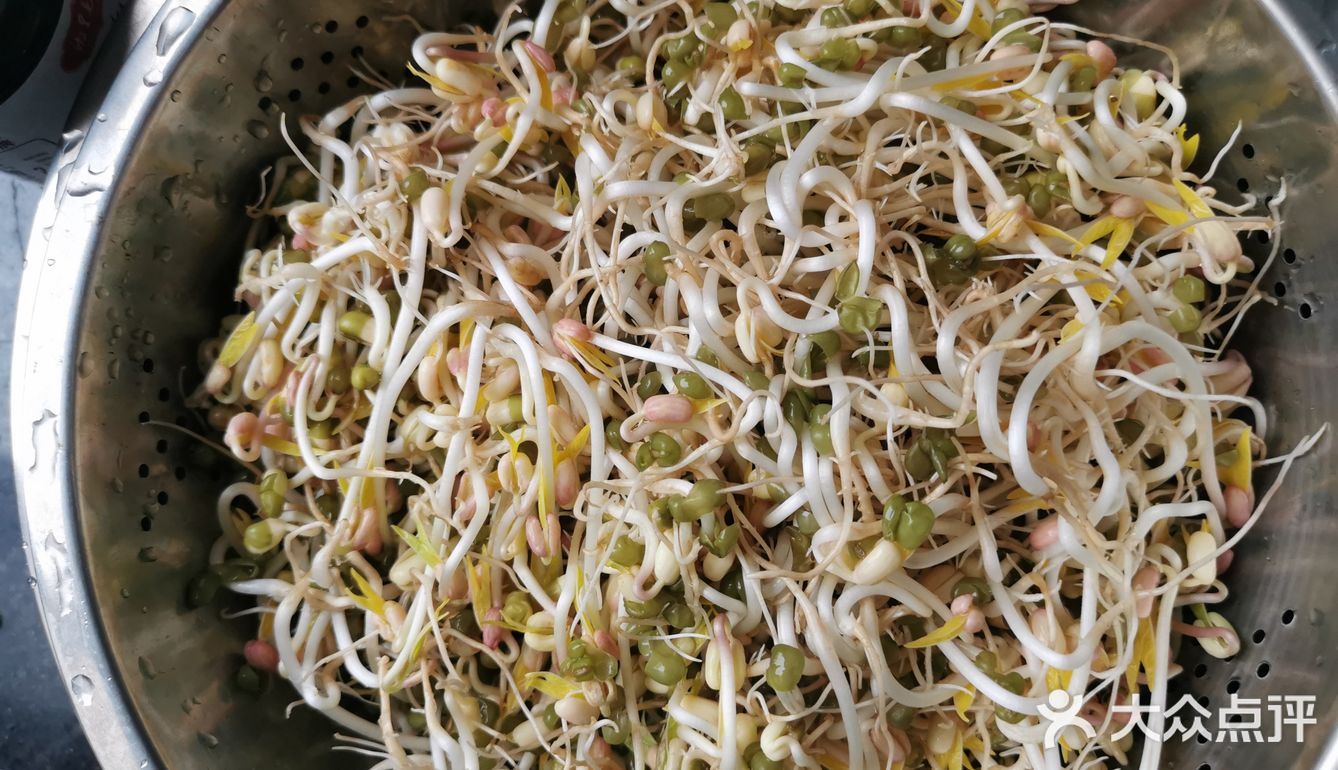 来个豆芽吧