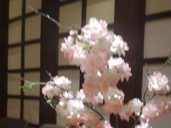 -樱之盛宴·蟹料理海鲜自助(前进大街店)