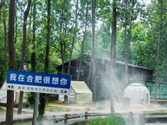 -合肥滨湖国家森林公园