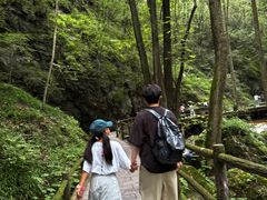 -牛背梁国家森林公园