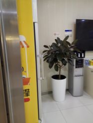 -北京雍禾植发医院