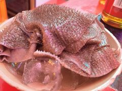 -肥龙火锅(南坪店)