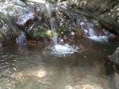 -羚羊峡古栈道森林公园