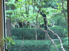 -畅和茶坊·曦瓜中国大红袍