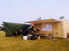 -春花秋色城市公园