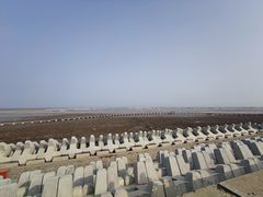 -南汇嘴观海公园