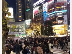-涩谷全向十字路口