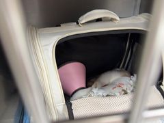 -联合动物医院(光谷诊疗中心)