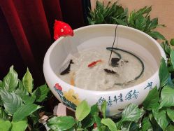 -四方阁酒楼·宴会厅(圣灯店)