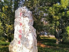 -北京十三陵国家森林公园蟒山景区