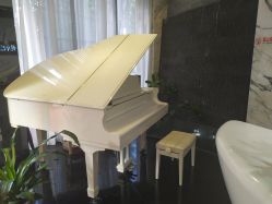 -比华利美容医院