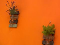 -泰古龙抓龙筋·spa按摩(静安店)