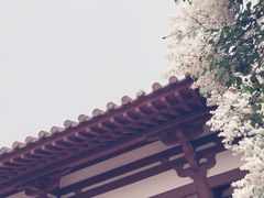 -西安青龙寺遗址景区