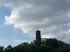 -红花山公园