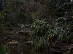 -成都市活水公园