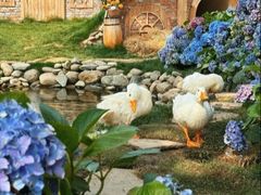 -HERRE·FARM 赫尔露营农场·团建聚会包场