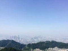 -南山植物园