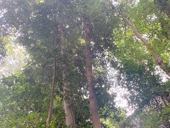 -北高峰