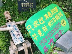-熙古里艺术村