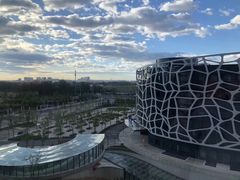 -首都医科大学附属北京天坛医院